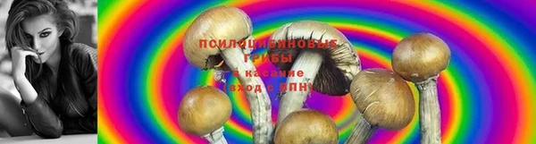 хмурый Балахна
