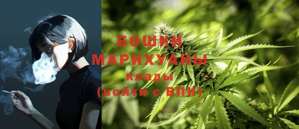 крисы Балабаново