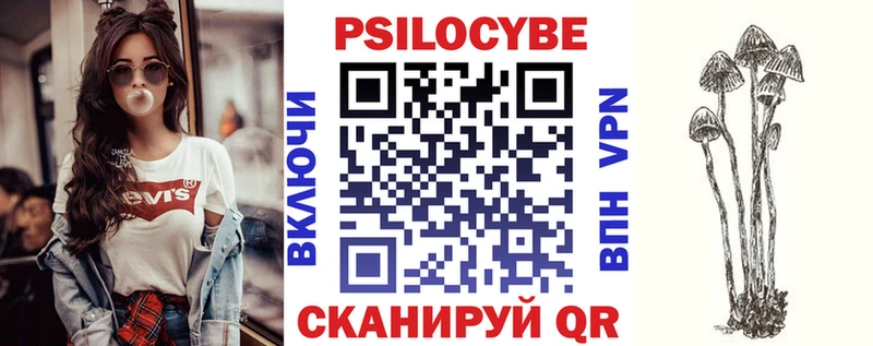 дарк нет официальный сайт  Сусуман  Псилоцибиновые грибы Psilocybe  купить наркотики цена 